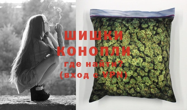 молекула духа Михайлов