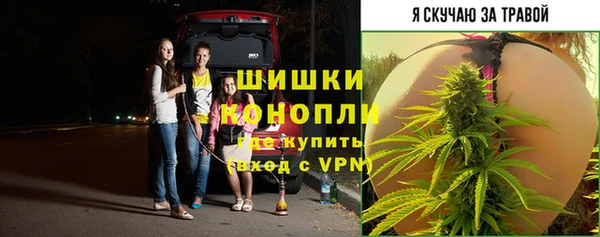молекула духа Михайлов