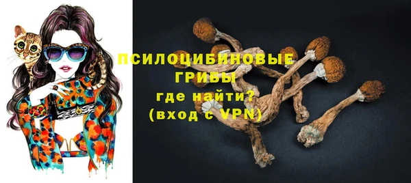 молекула духа Михайлов
